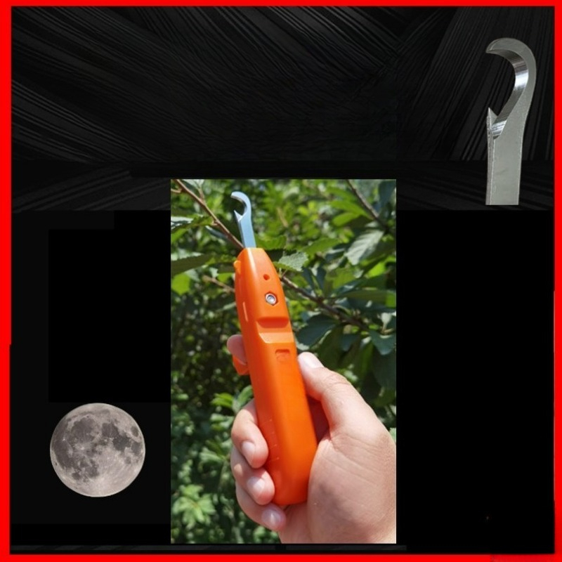 Fruit Picking Shears Stainless - Gardening Tools Vegetables 评论和价格