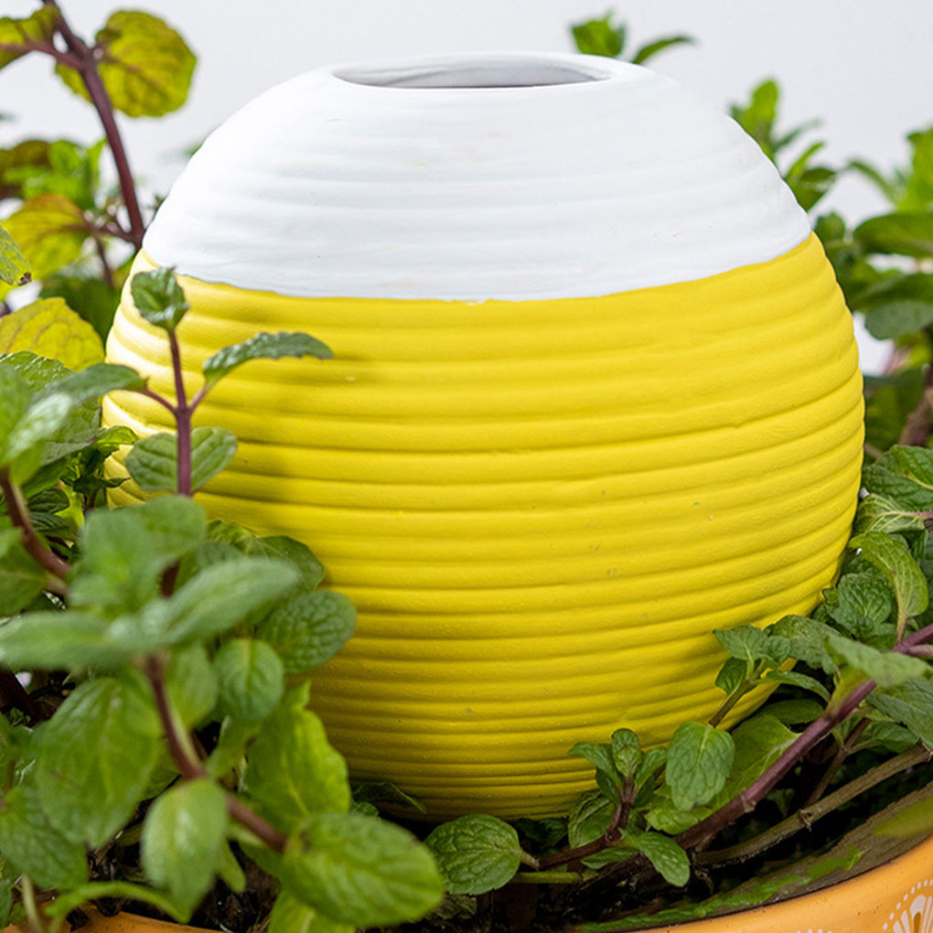 Ceramics Automatic Plant Water - Gardening Tools Must Haves 评论和价格