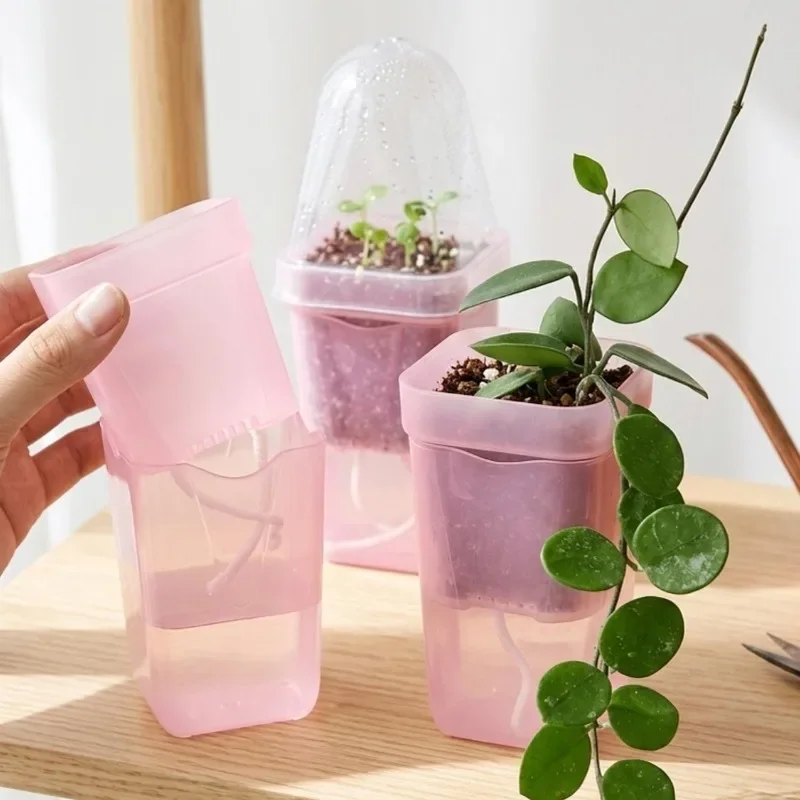 Transparent Pink Self Watering - Self-Watering Planter 评论和价格