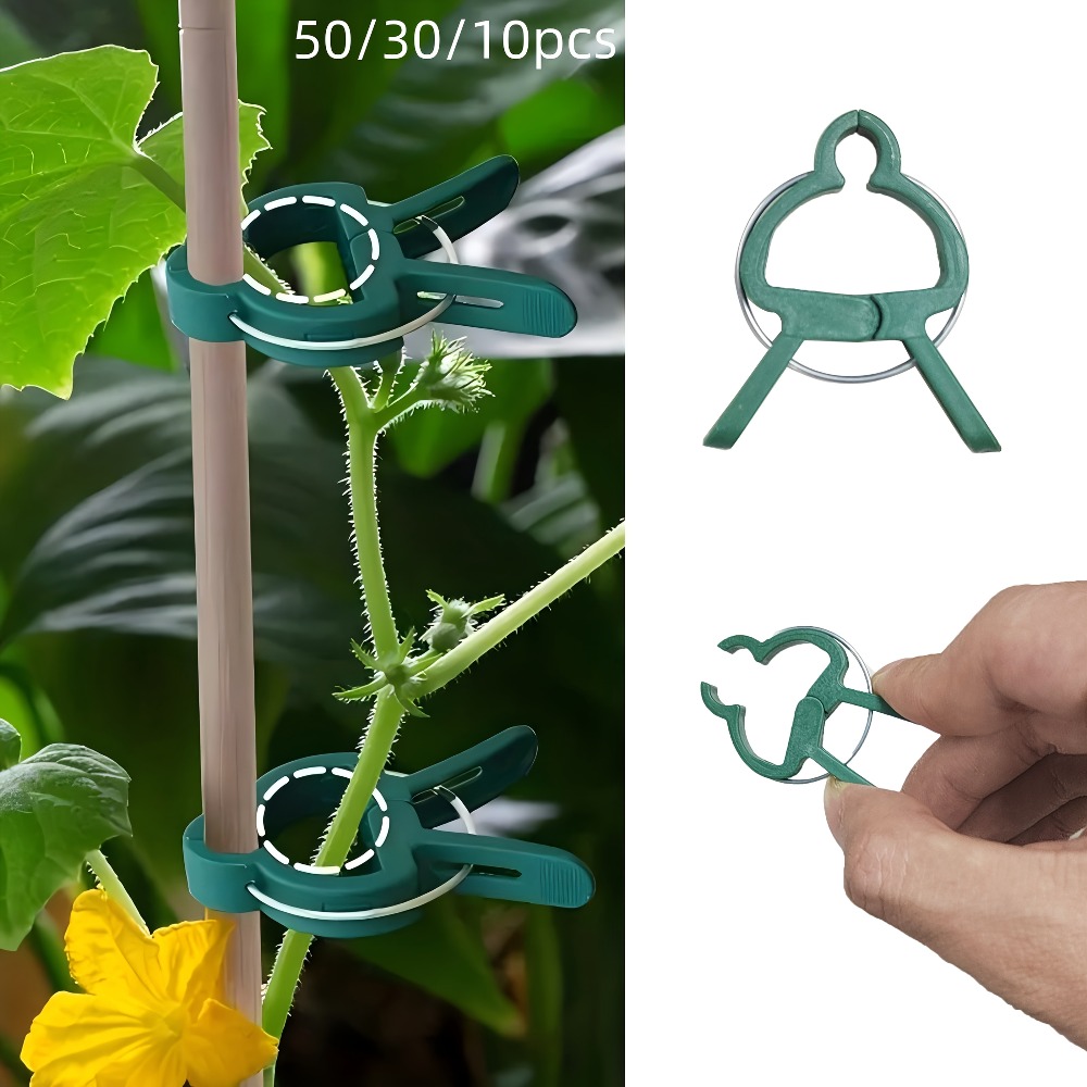 10/30/50pcs Adjustable Plant C - Gardening Tools Essential 评论和价格