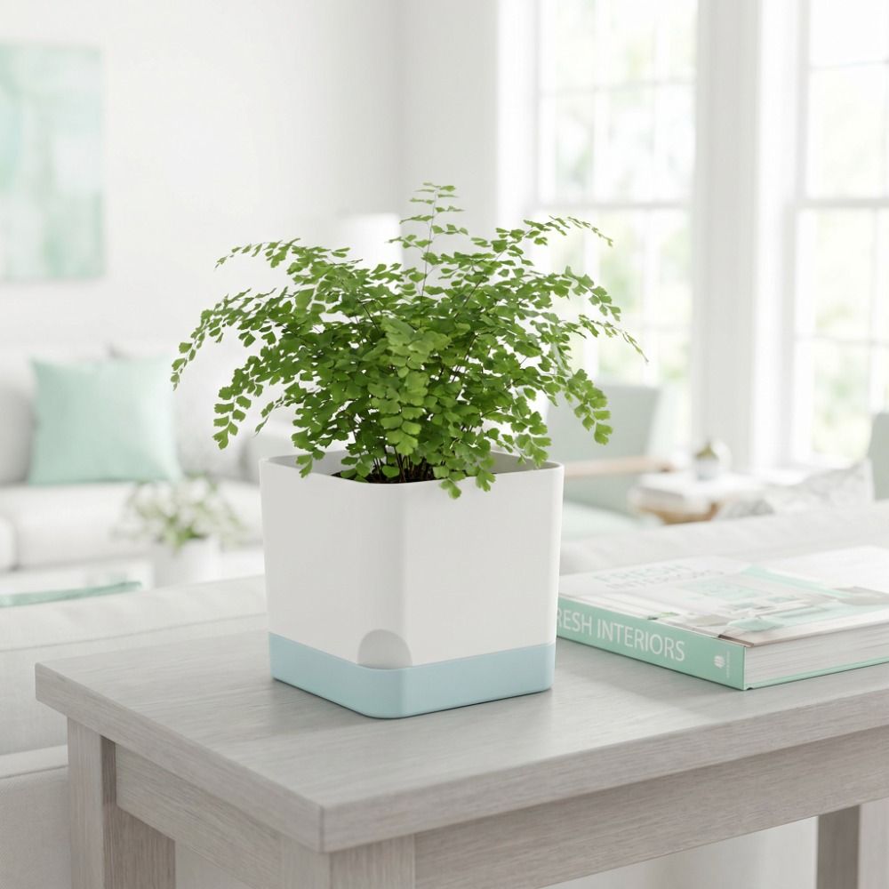 Simple Square Shape Self Water - Self-Watering Planter 评论和价格