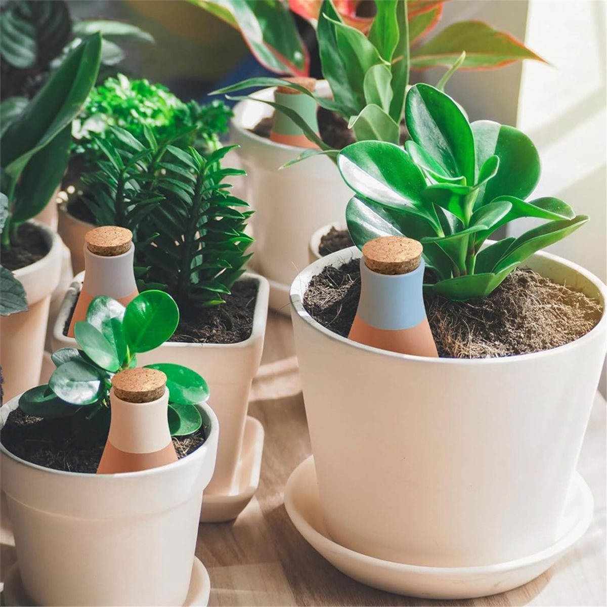 A20I 4PCS Terracotta Watering  - Self-Watering Planter 评论和价格